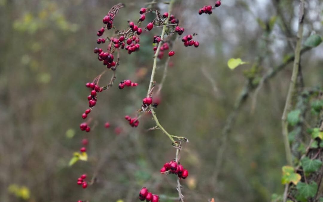 Von minus hundert zu plus zweiundzwanzig: Warum Geduld heute gewonnen hat 02.12.2025