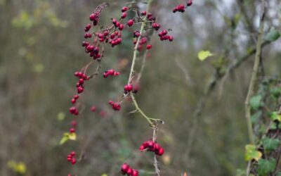 Von minus hundert zu plus zweiundzwanzig: Warum Geduld heute gewonnen hat 02.12.2025