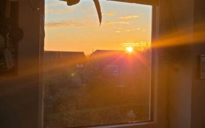 0,35 % Verlust, 100 % Haltung: Ein Tradingtag, der zählt 20.11.2025