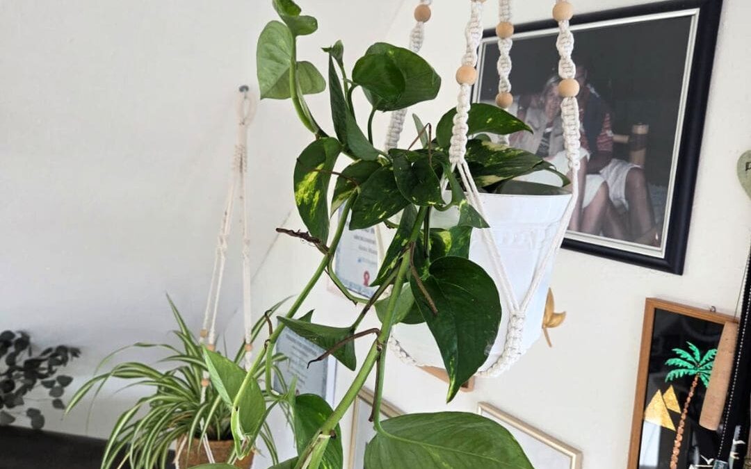 Vom Fehlstart zum Erfolg: Ein Montag voller Klarheit, 17.11.2025