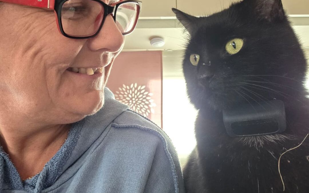 05.11.2025 : Ein Hochzeitstag am Meer – und ein ruhiger Markt