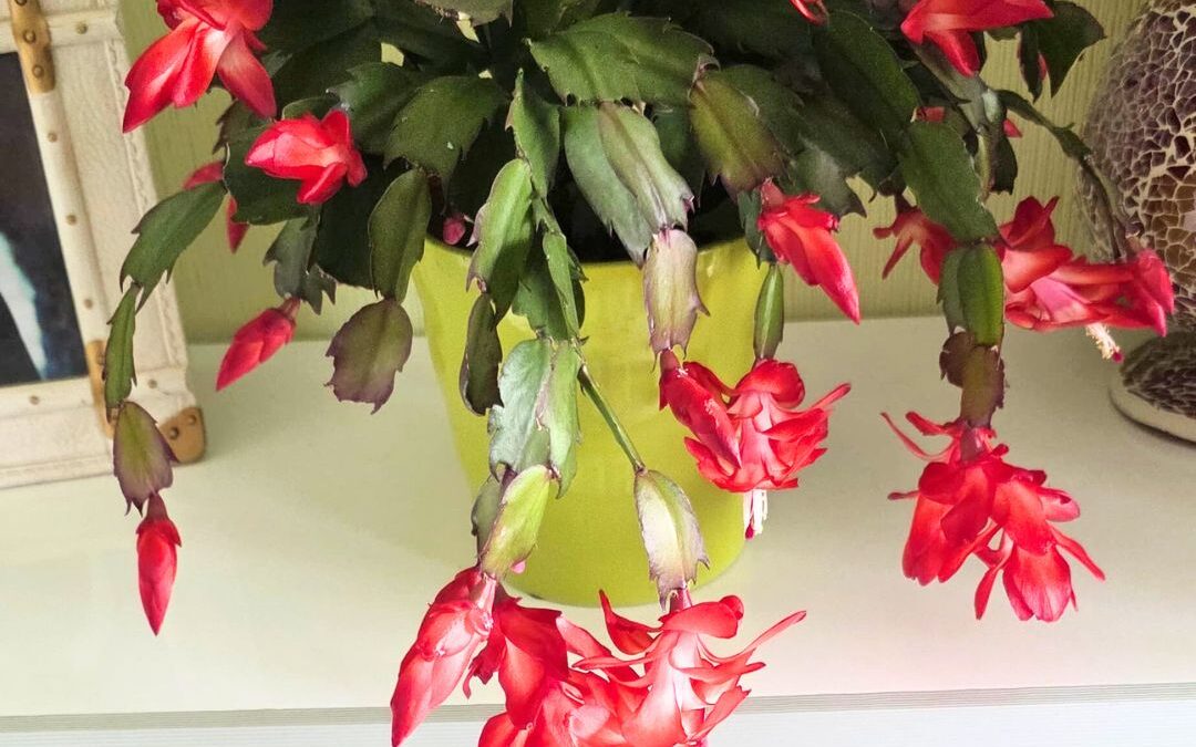 Kontrollierte Verluste und klare Gedanken – ein Tag zwischen Charts und Gelassenheit, 04.11.2025