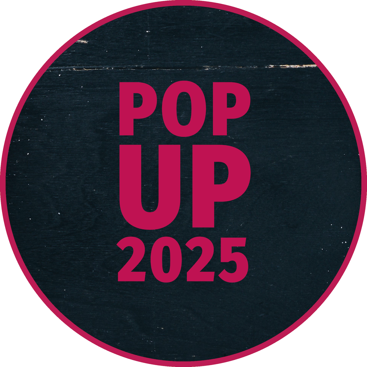 popup2025-logo